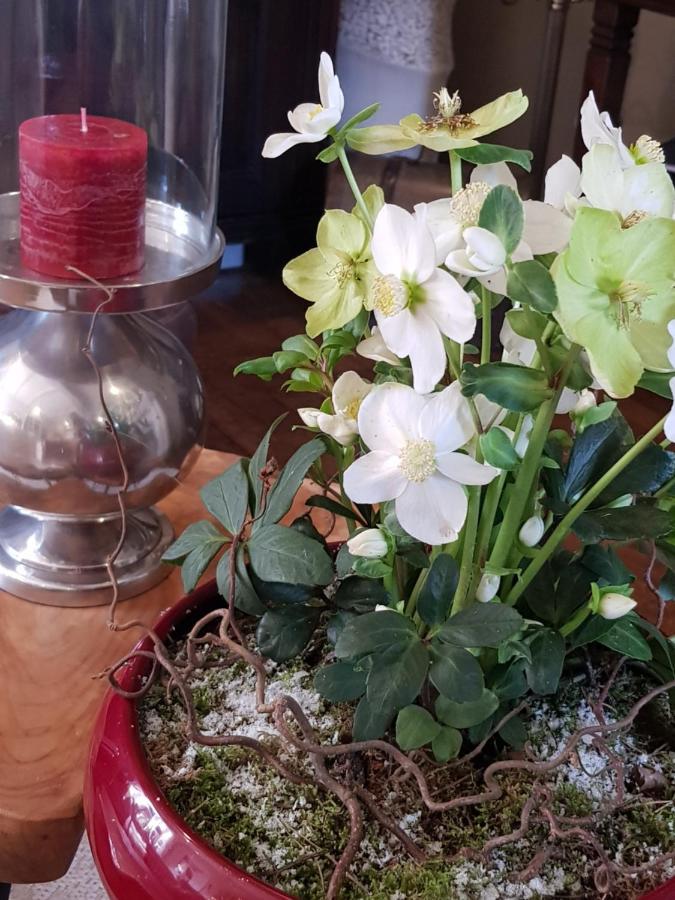 B&B Le Jardin Pelt Bagian luar foto